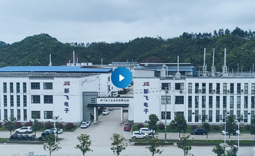 黄山市祁门新飞电子科技发展有限公司